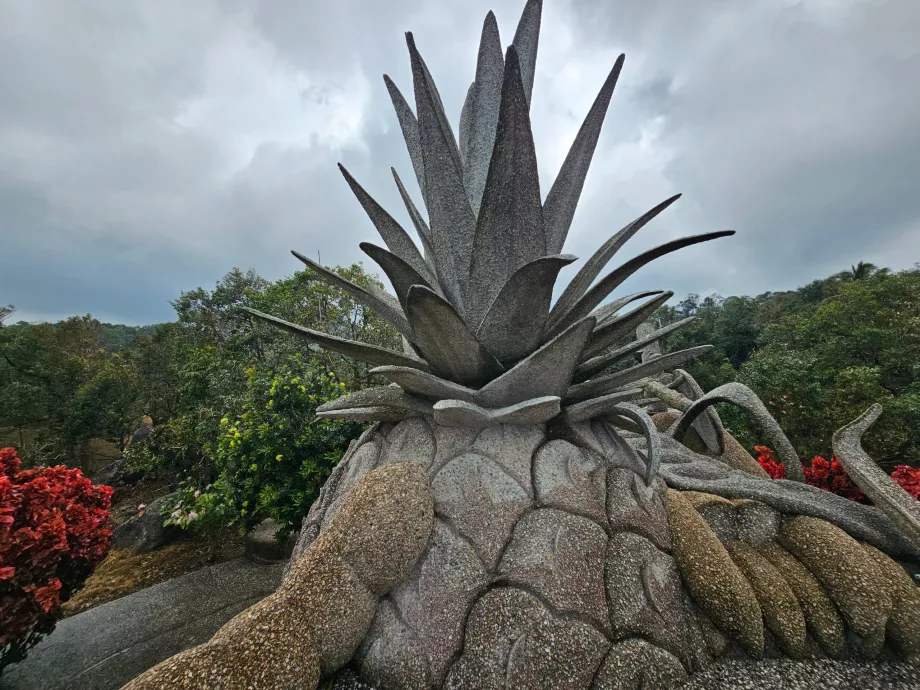 Frutos da Pedra Mágica