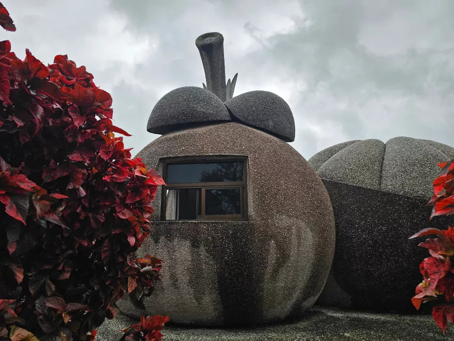 Frutos da Pedra Mágica