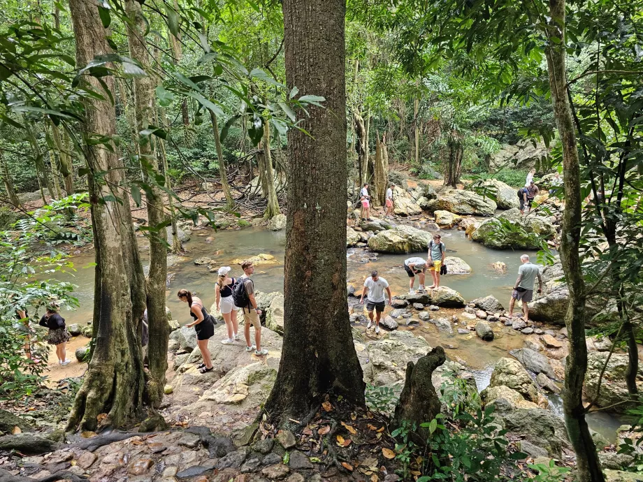 Cascata de Na Muang 1