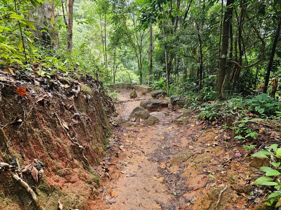 Estrada para a cascata de Namuang 2