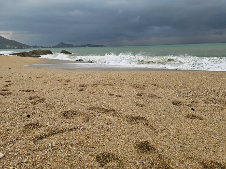 Areia mais grossa na parte sul da praia de Lamai