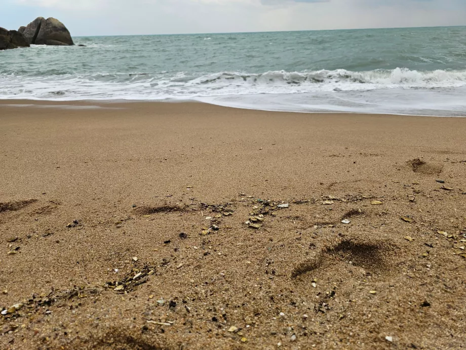 Praia de Coral Cove, qualidade da areia