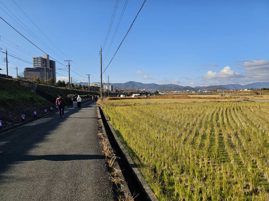 Caminhada da estação até ao barco