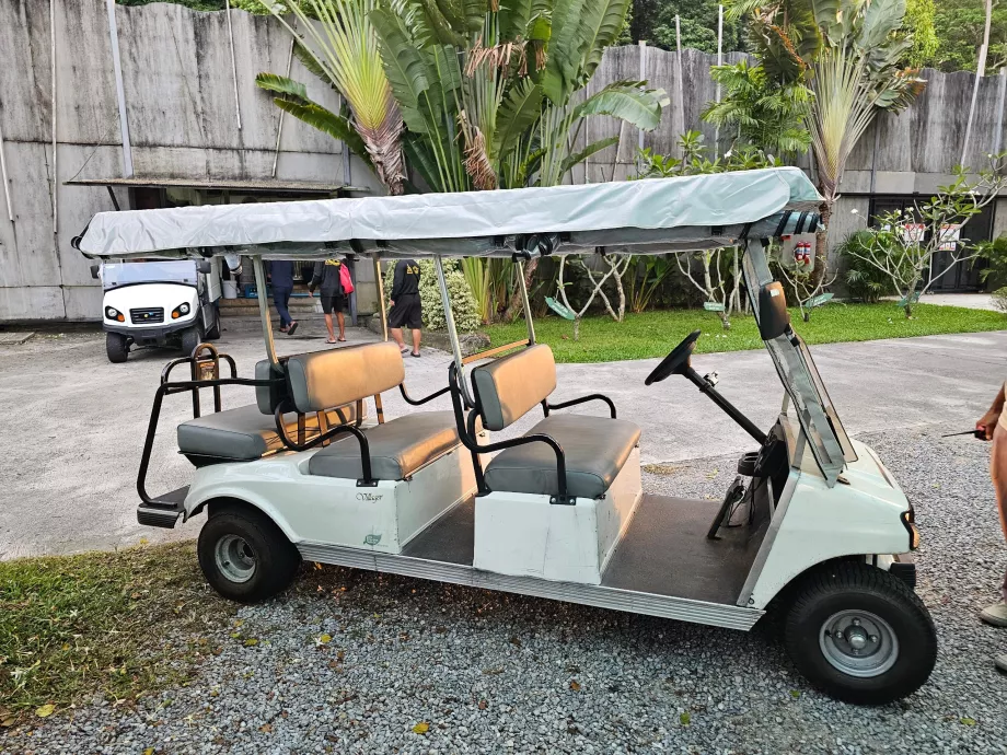 Trolley de golfe para transporte na estância