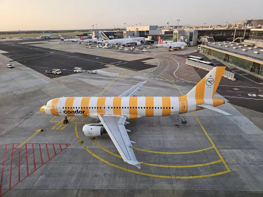 Um Airbus A320 amarelo no aeroporto de Frankfurt