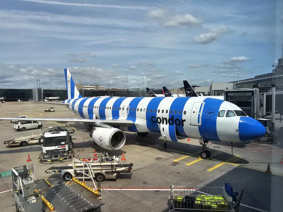 Azul Airbus A320 Condor