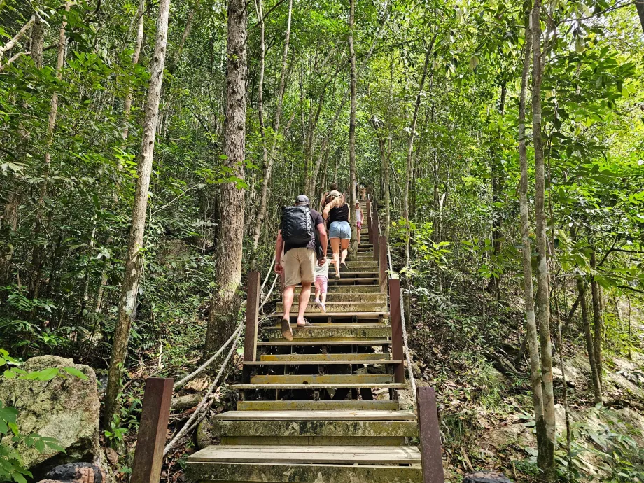 O caminho para as cascatas