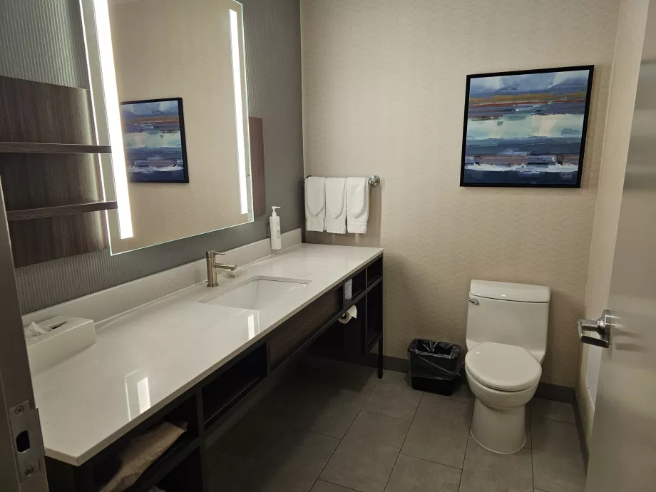 Hilton Garden Inn, casa de banho