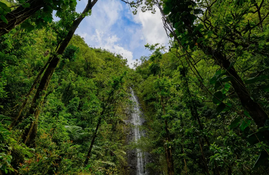 Cataratas de Manoa