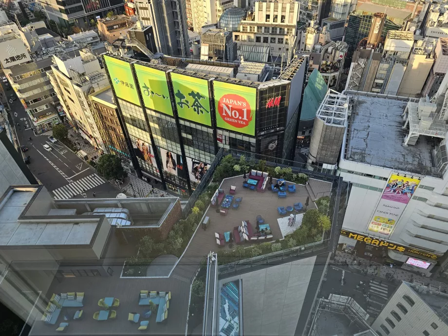 Vista do terraço exterior do restaurante Gallery 11