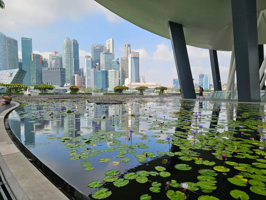 Museu de Arte-Ciência