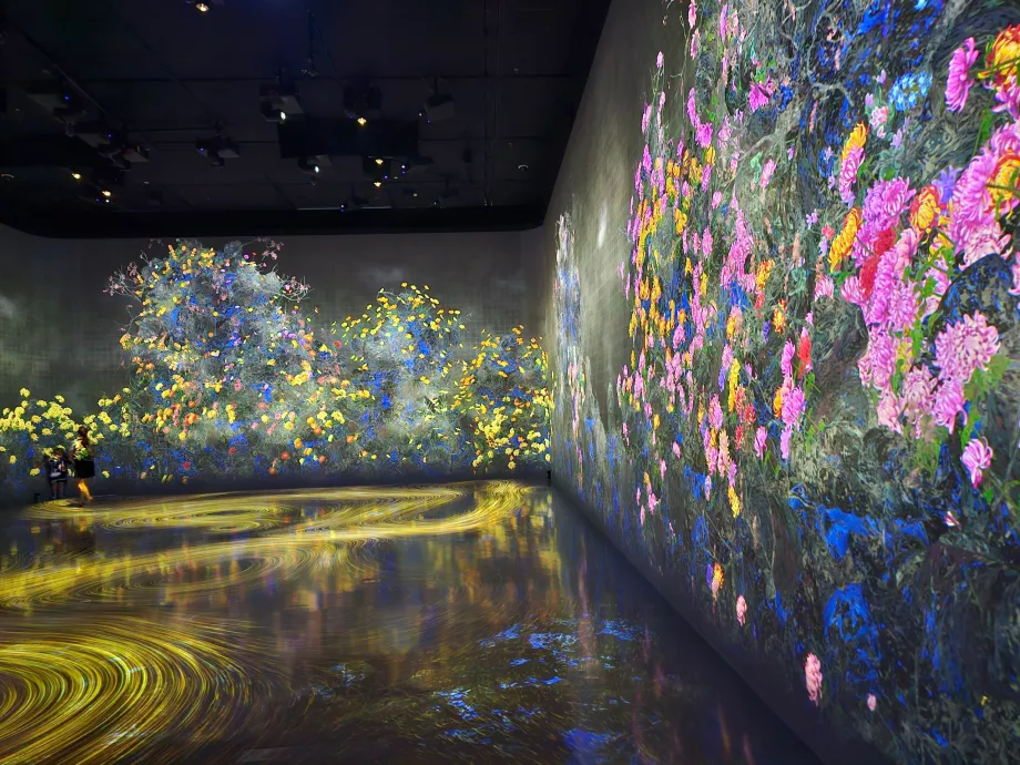 Museu de Arte-Ciência