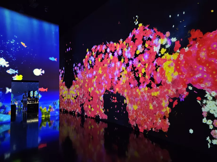 Museu de Arte-Ciência