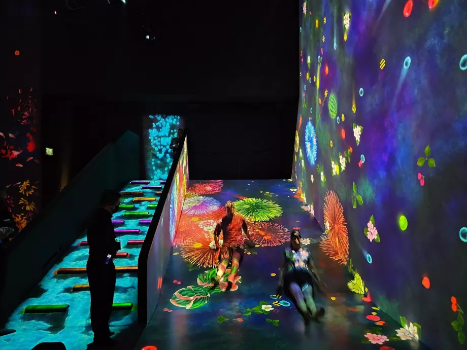 Museu de Arte-Ciência