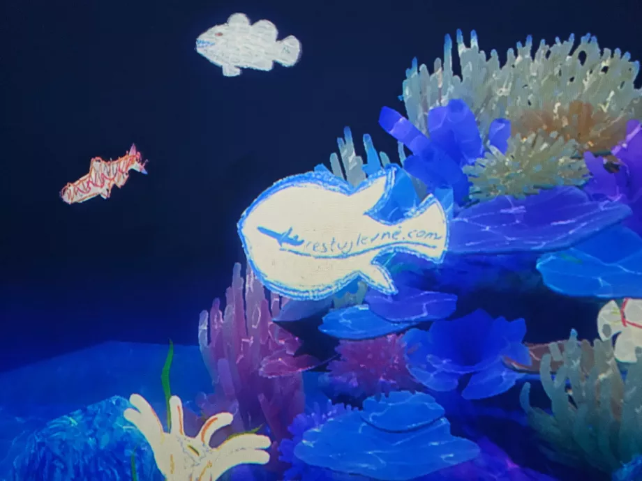 Museu de Arte-Ciência