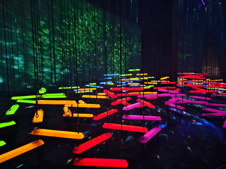 Museu de Arte-Ciência