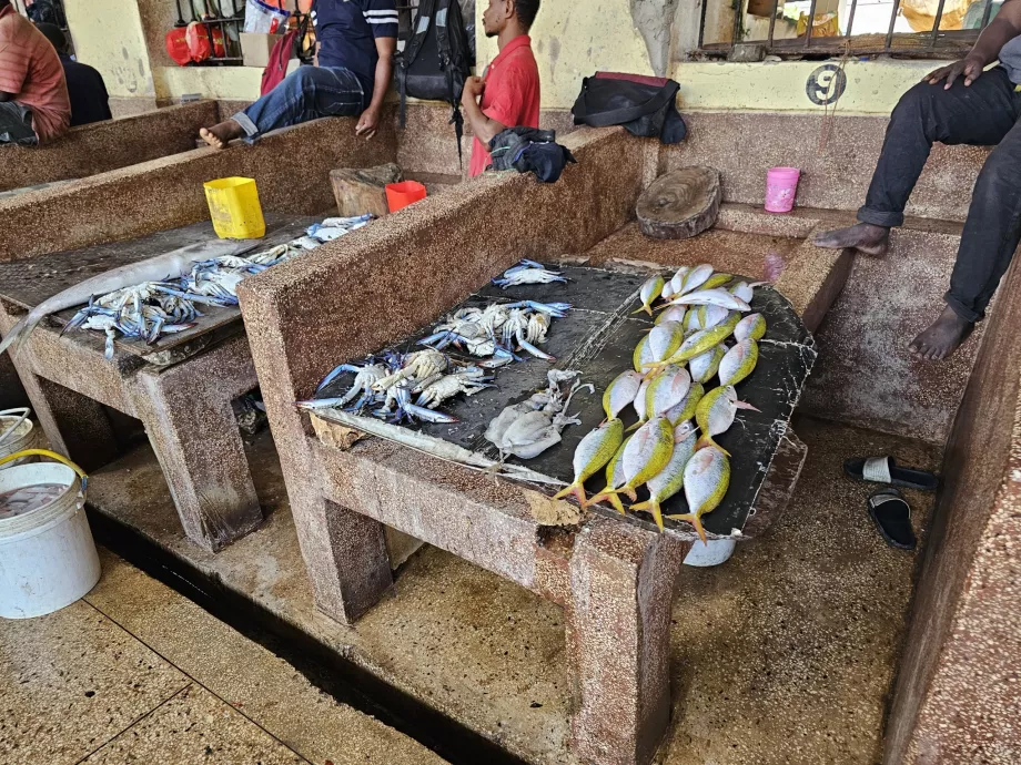 Mercado do peixe