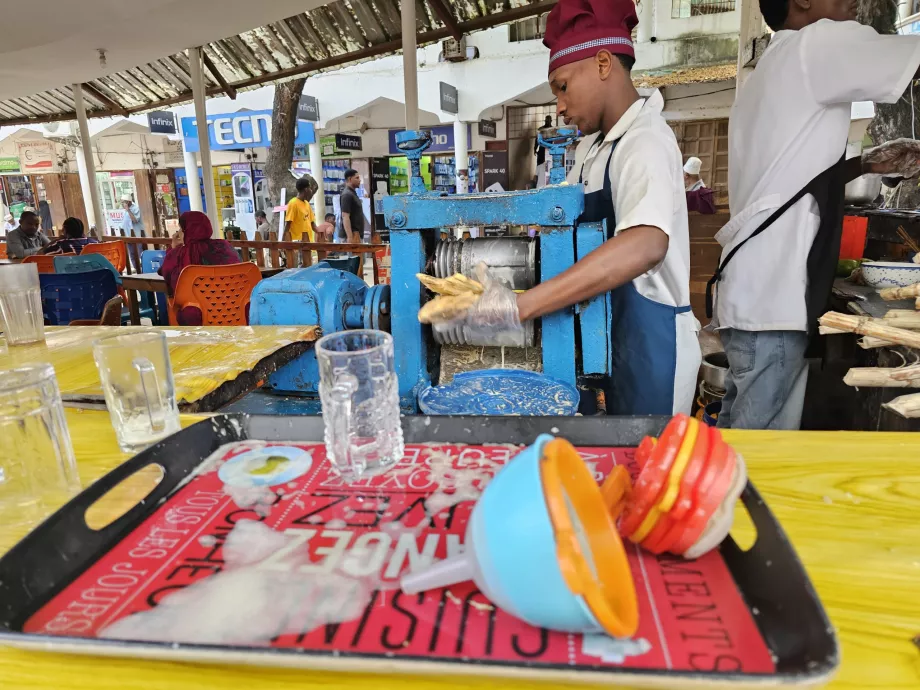Preparação da cana-de-açúcar