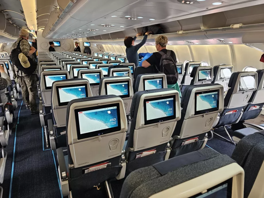 Classe Económica, Airbus A330-800