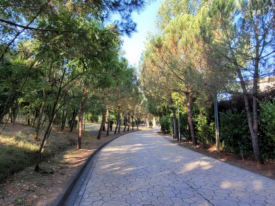 Grande parque