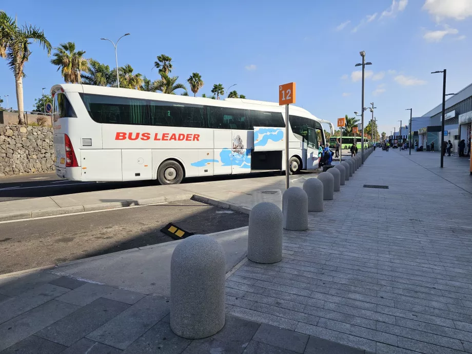 Autocarros de turismo