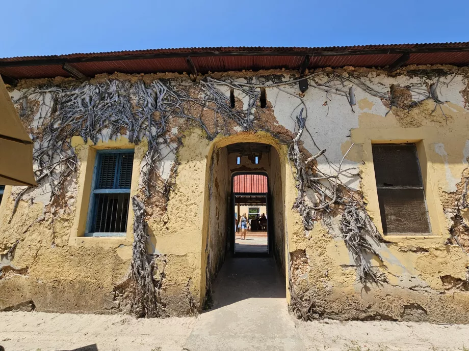 Ilha Prisão, o edifício da prisão