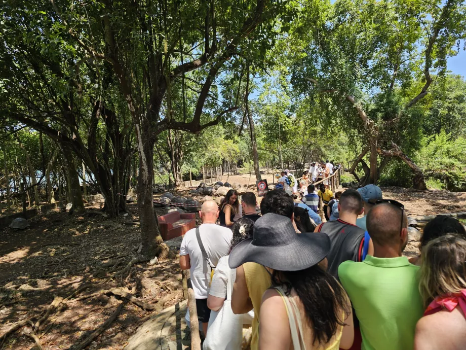 Ilha da Prisão, um caminho através do recinto da tartaruga gigante