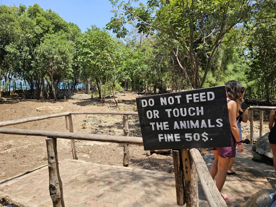 Ilha Prisão, tartarugas gigantes