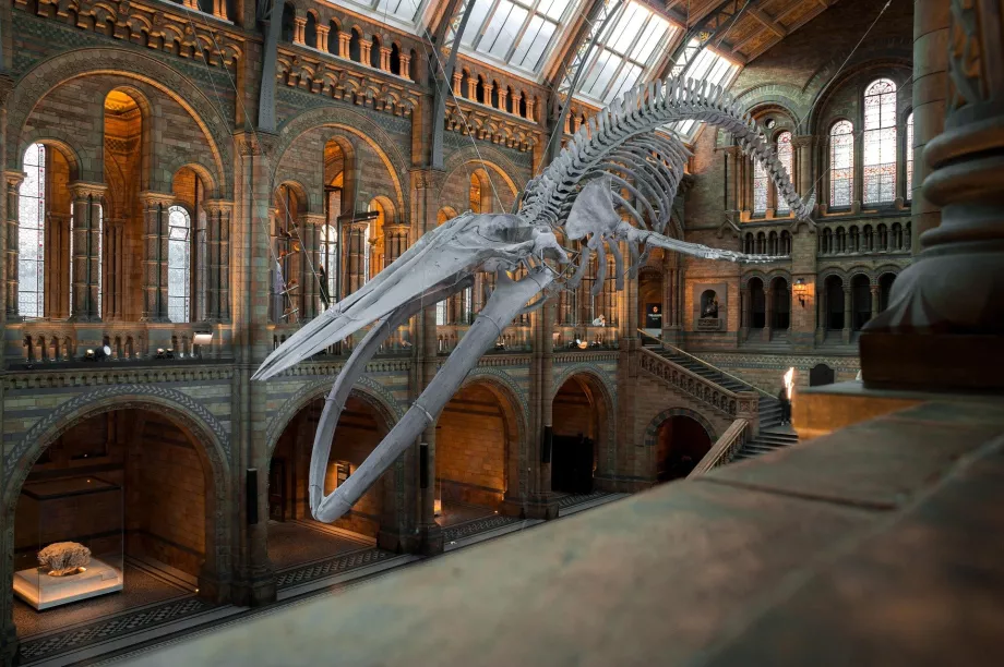 Museu Nacional da Natureza