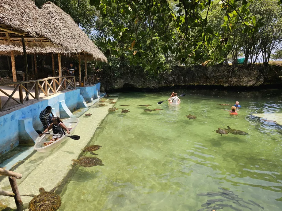 Nungwi, Aquário de Mnarani