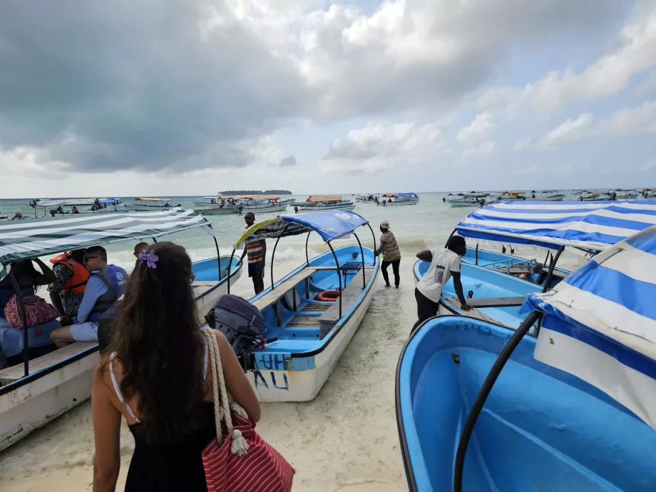 Caos no embarque - cruzeiro para ver golfinhos