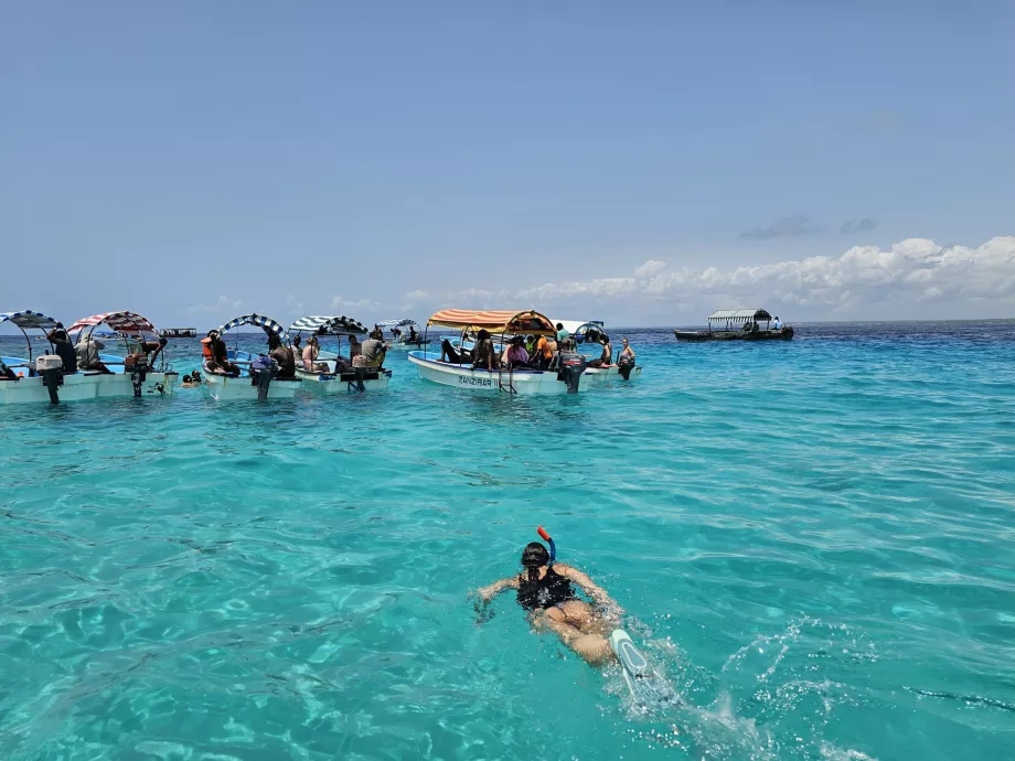 Snorkeling perto do atol de Mnemba