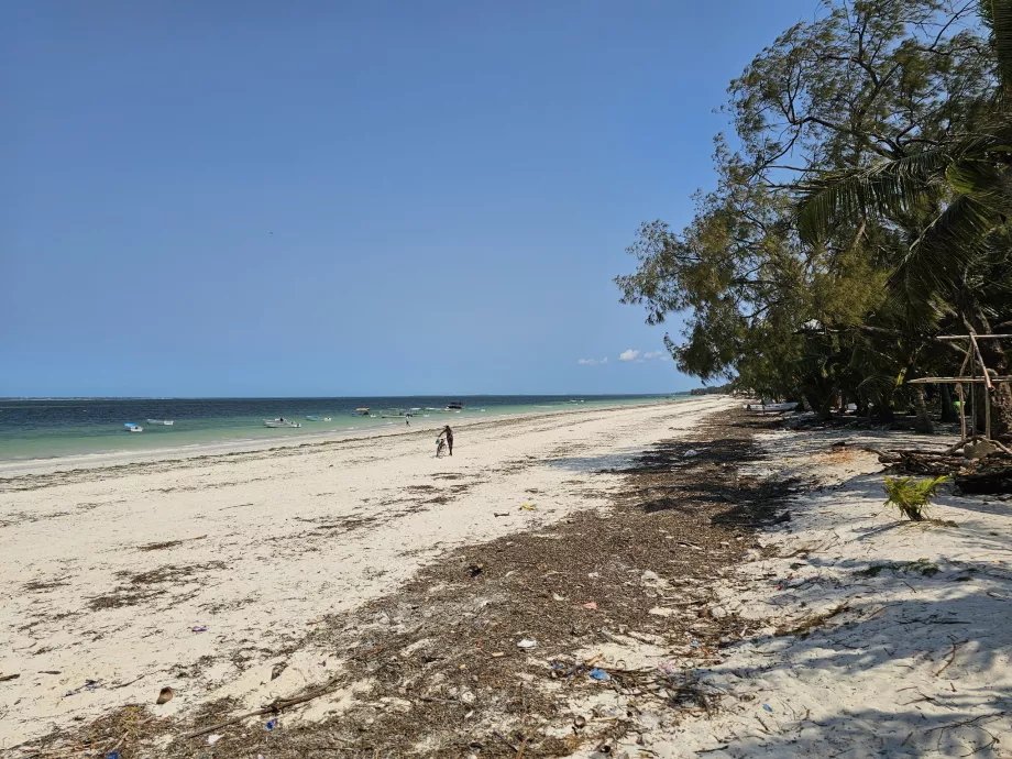 Praia de Uroa