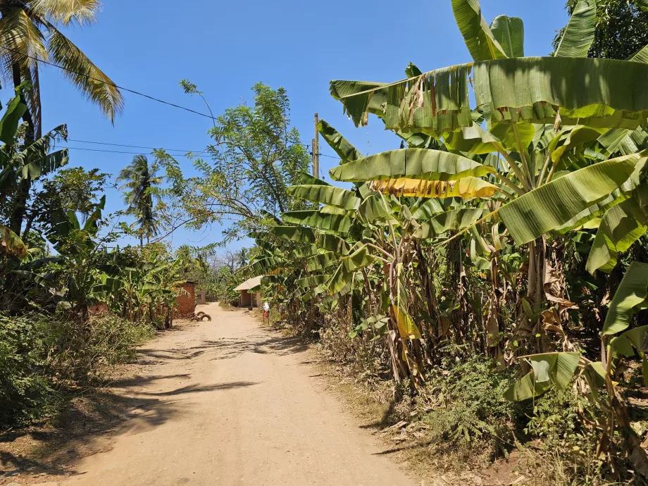 Estrada de terra batida lateral para a praia de Mtende