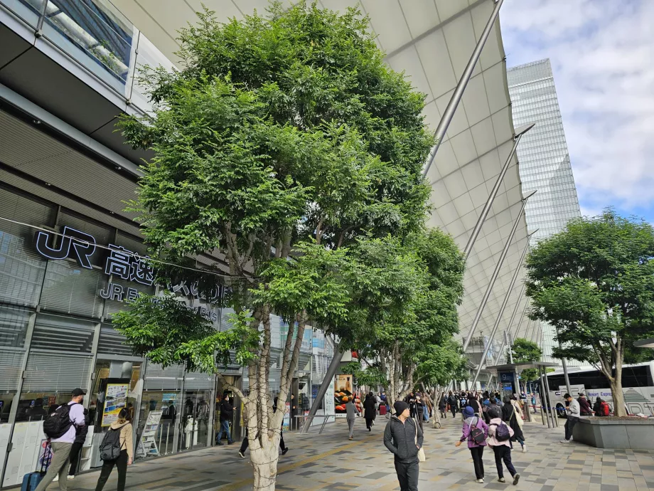 Estação central de autocarros de Tóquio