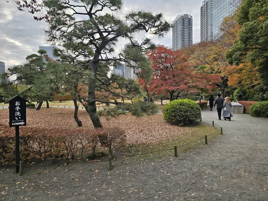 Jardins de Hama-rikyu