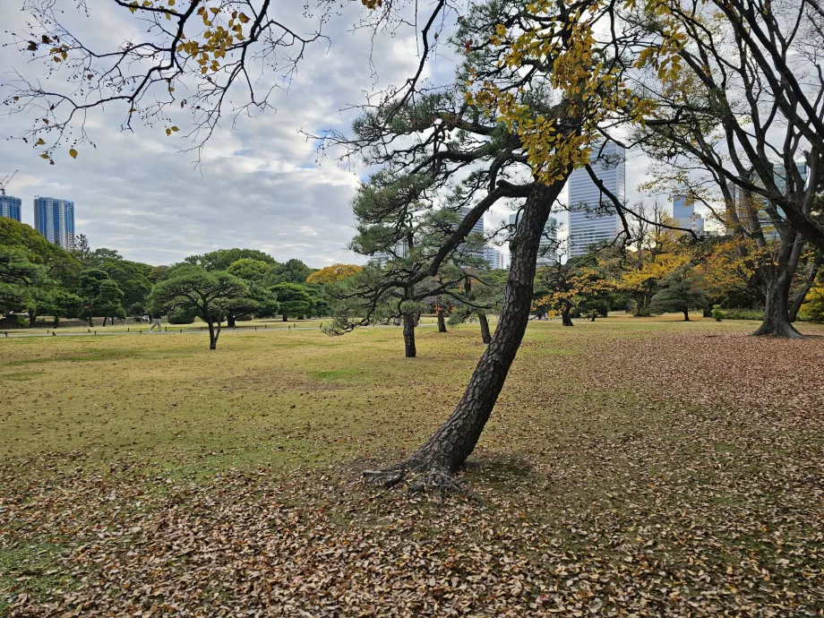 Jardins de Hama-rikyu