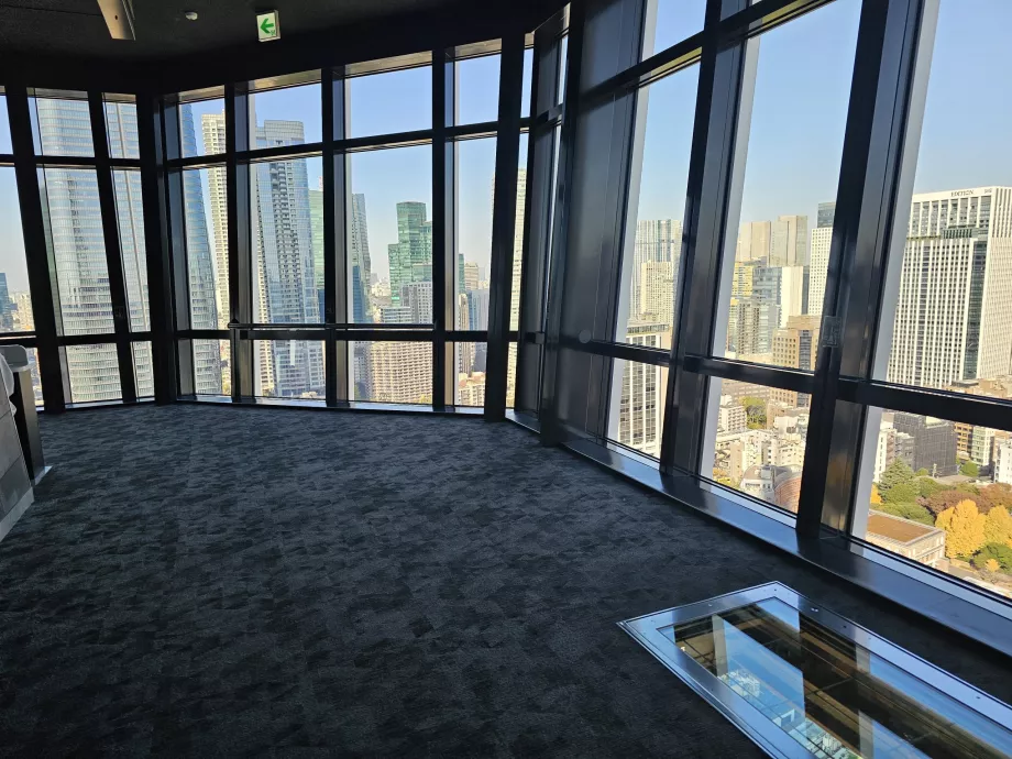 Plataforma de observação principal