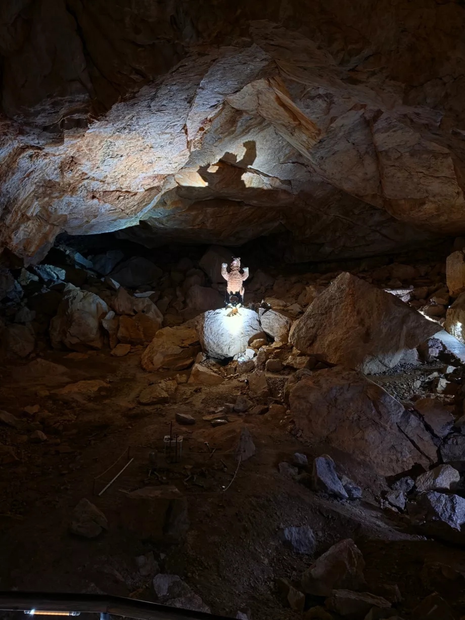 Maquete de um urso das cavernas