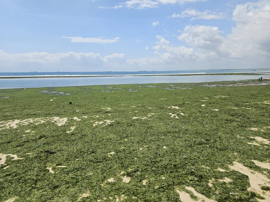 Praia do Coco