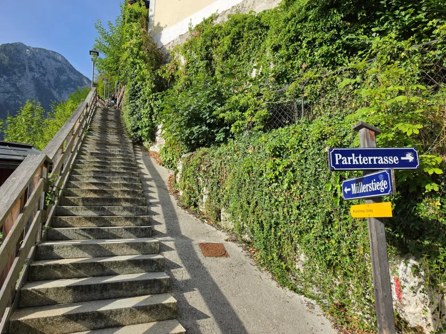 Escadas: o início do trilho que sobe ao Salzberg