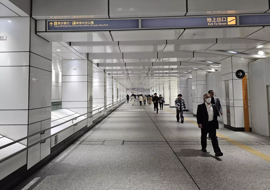 Viagem da Estação de Shinjuku para o Edifício do Governo Metropolitano de Tóquio