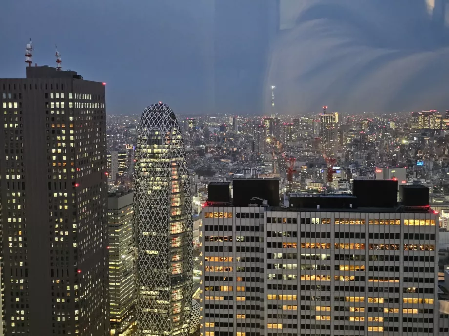 Edifício do Governo Metropolitano de Tóquio
