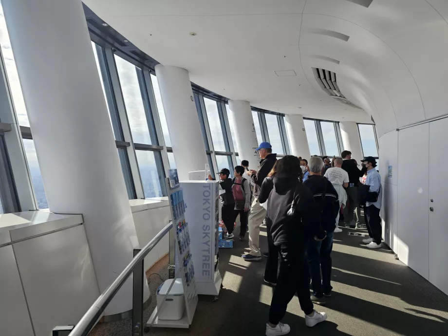 Árvore do Céu de Tóquio