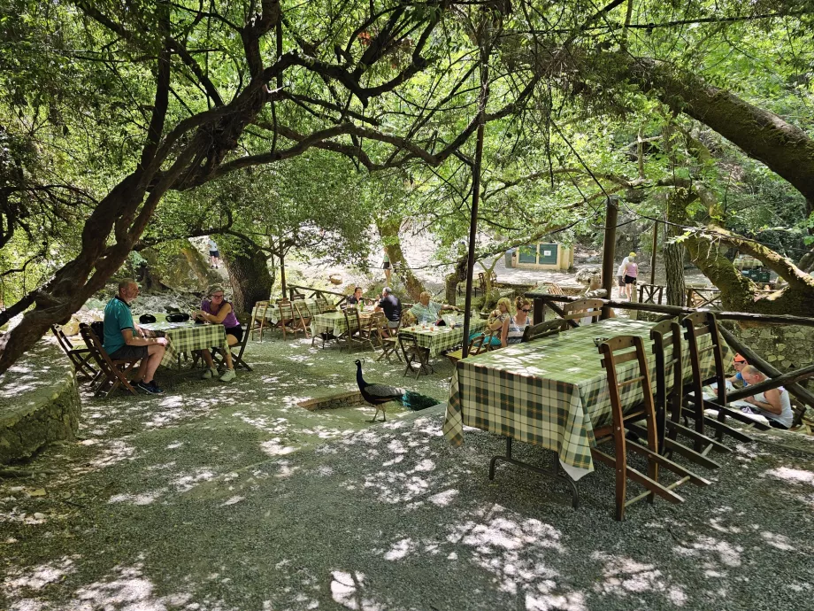 Restaurante no Seven Springs