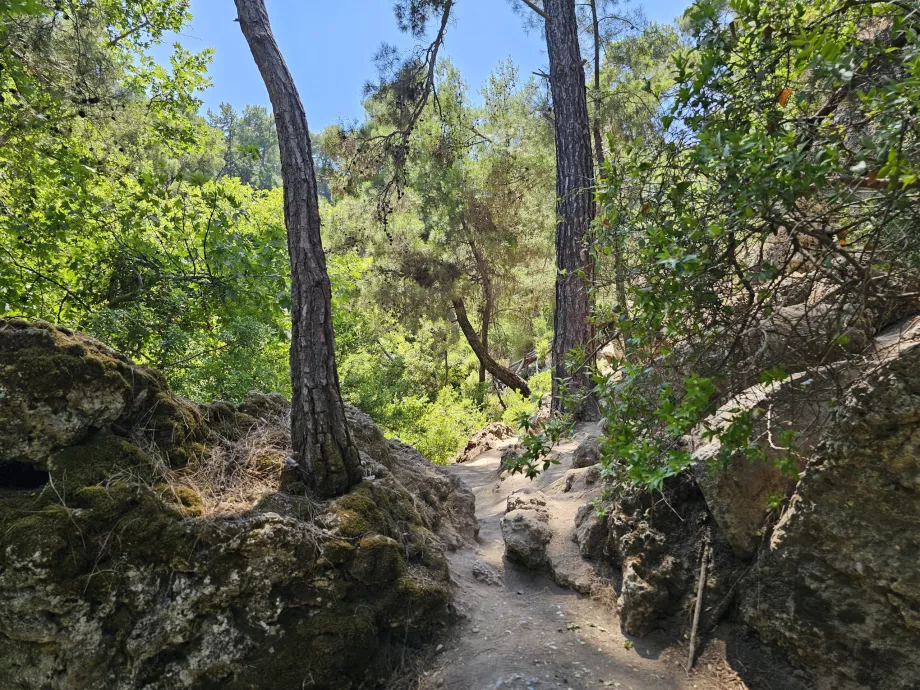 Viagem às Sete Fontes