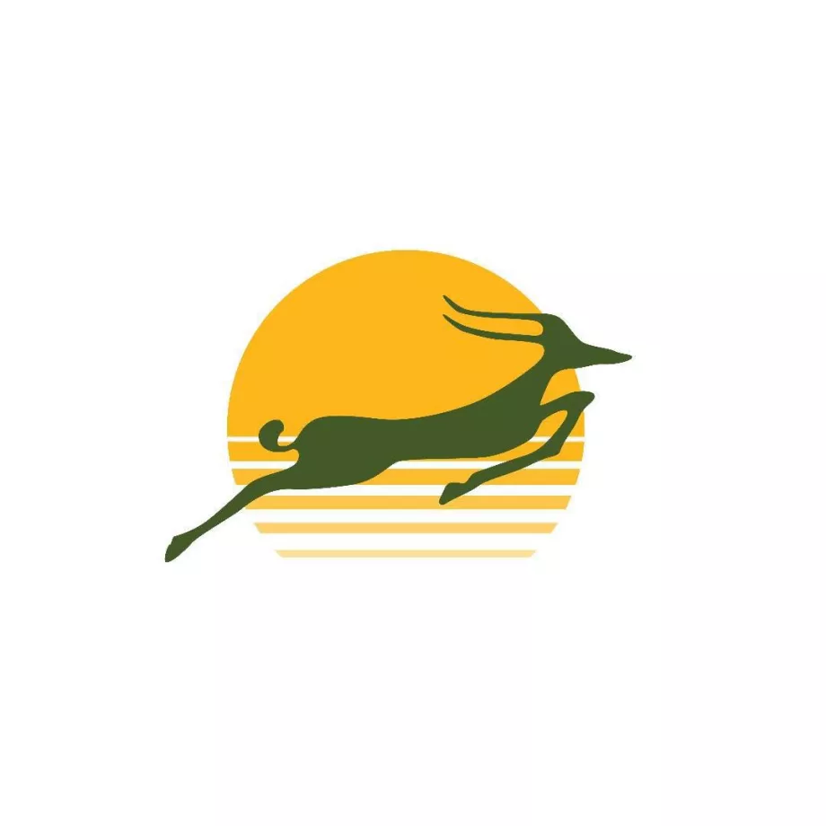 Logótipo da Precision Air