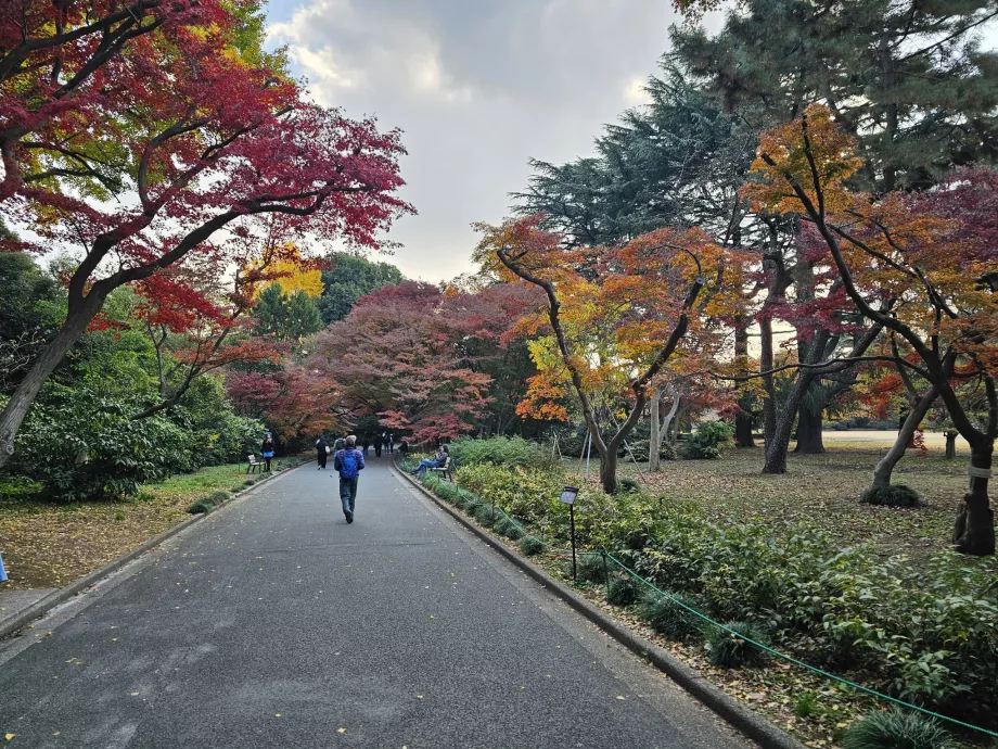 Jardim Nacional de Shinjuku Gyoen