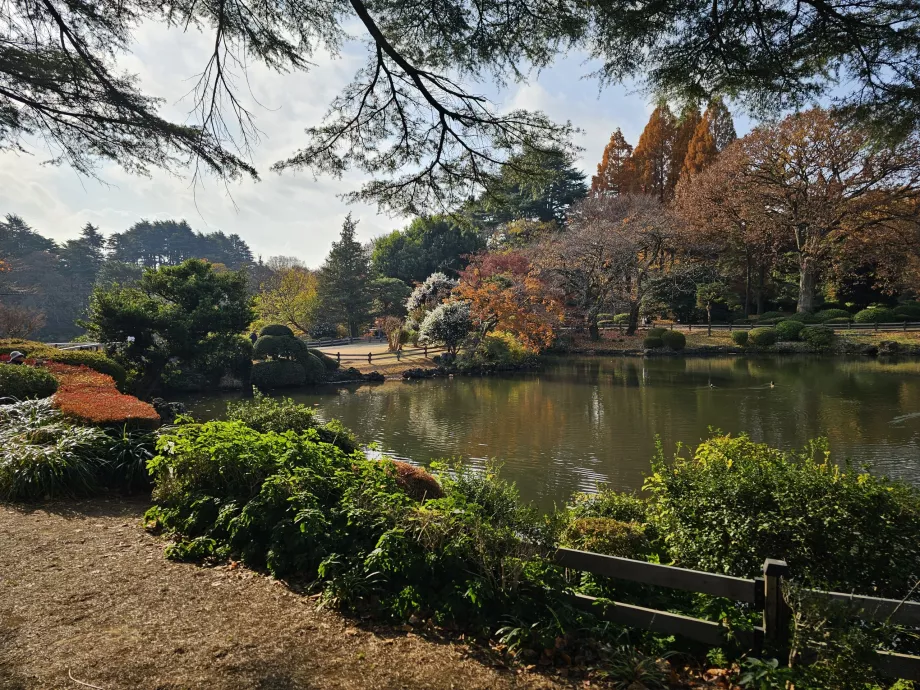 Jardim Nacional de Shinjuku Gyoen