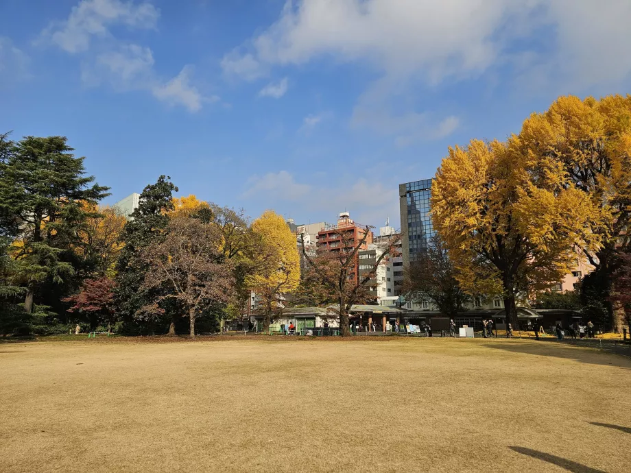 Jardim Nacional de Shinjuku Gyoen